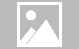 温县新区景区网站建设（in art criticism,you must assume）